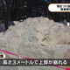 Illustration for article titled Virtual Idols Snow Sculpture Injured Elderly Lady for Real